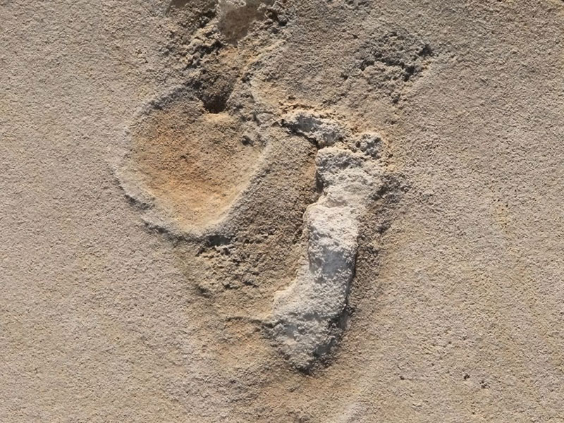 العثور على أقدم آثار أقدام لما قبل البشرية عمرها 6 ملايين عام